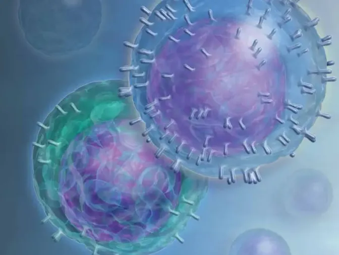 El estado inflamatorio basal podría condicionar las vías inmunológicas que impulsan la respuesta a ocrelizumab en la EMPP