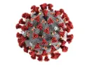 Factores de riesgo en pacientes con Esclerosis Múltiple y Covid-19